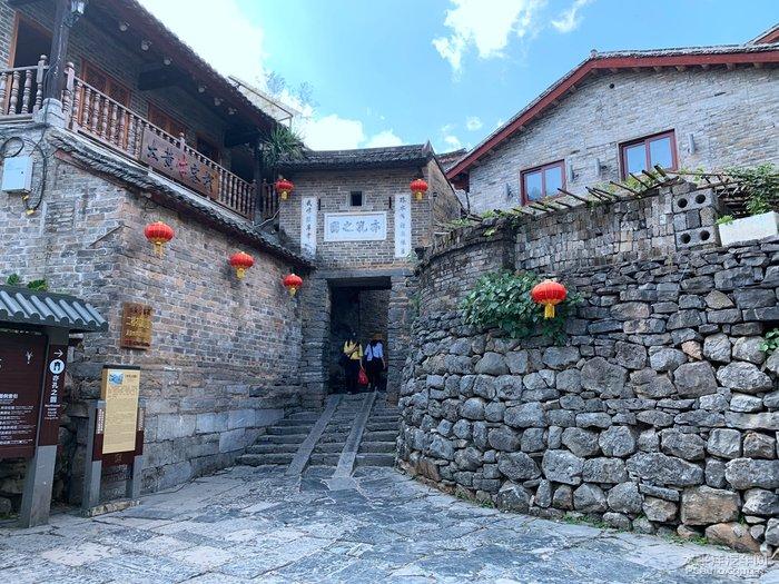 人民建议直通车丨中医药怎么“出圈”?听听中医学博士怎么说
